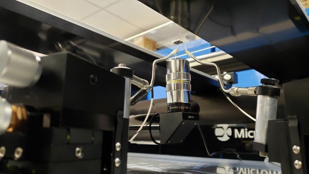 HPPI - Micromanipulator